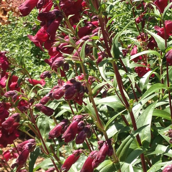 H&M Floral Dress - Picture 10 of 10